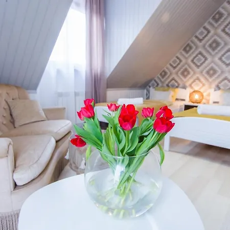 Gosciniec Pod Lipa Habitación en casa particular Mikołajki